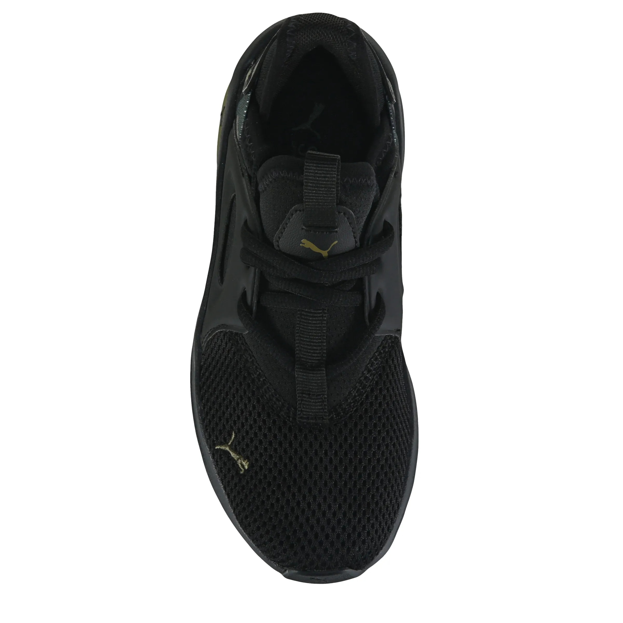 Famous Footwear Kids' Enzo Evo Sneaker Little Kid