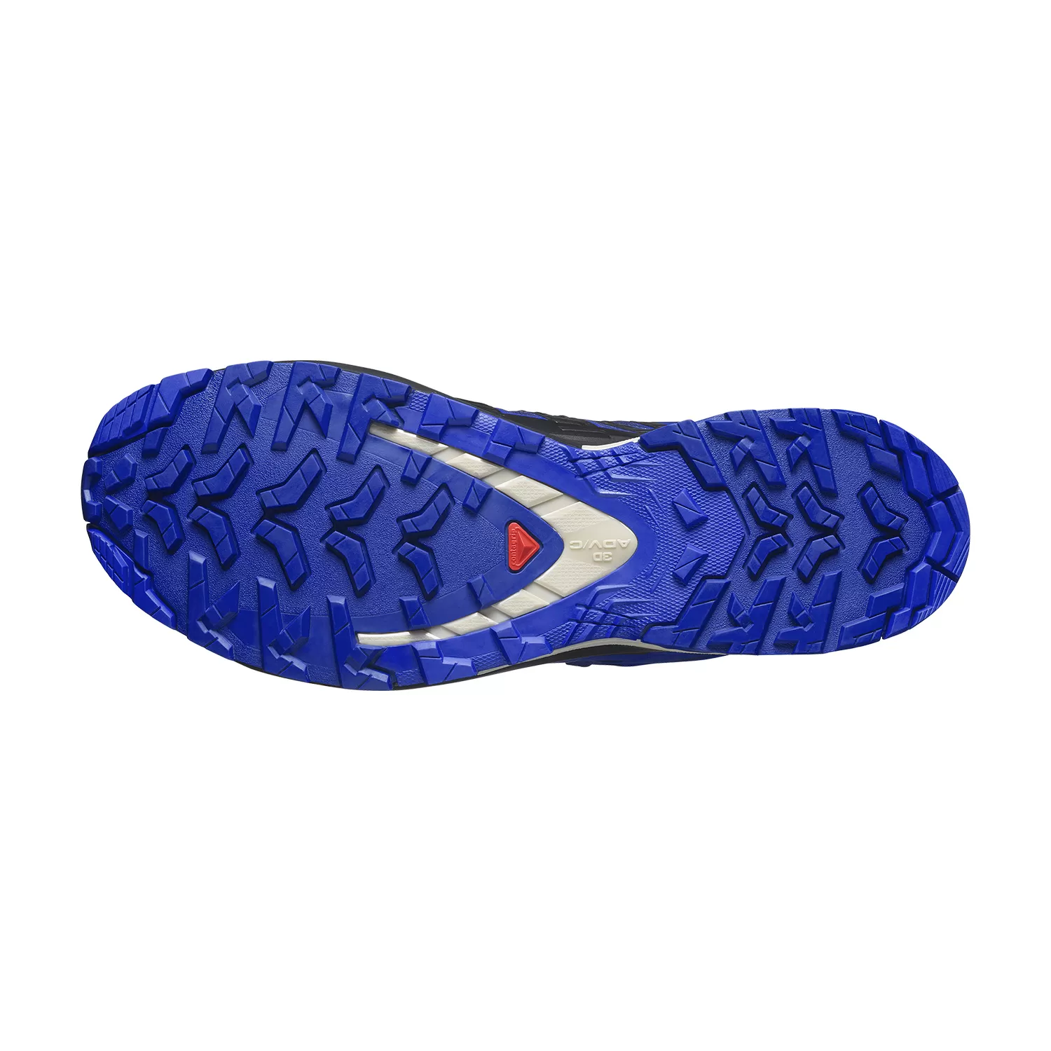 Salomon XA Pro 3D V9 GTX  Blue Print/Surf The Web/Lapis Blue