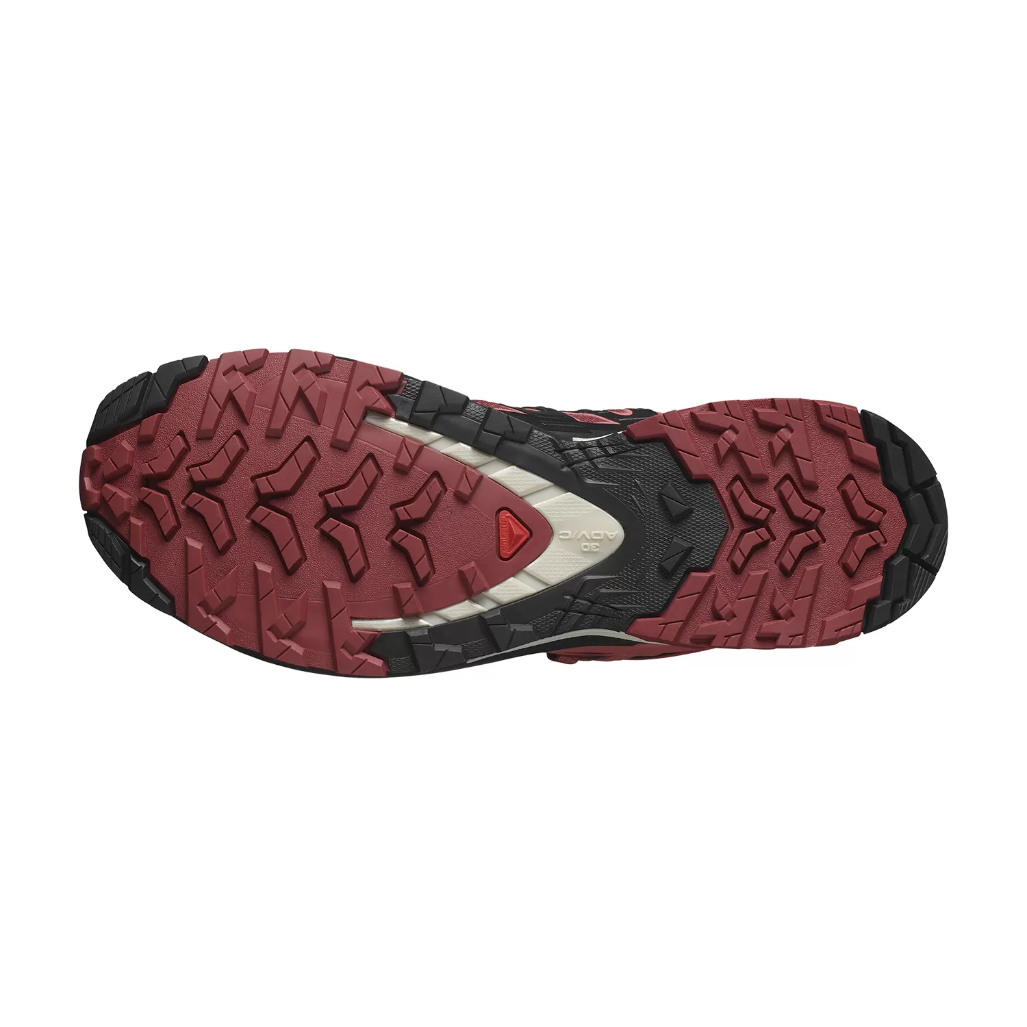 Salomon XA Pro 3D V9 GTX  Cow Hide/Black/Faded Rose